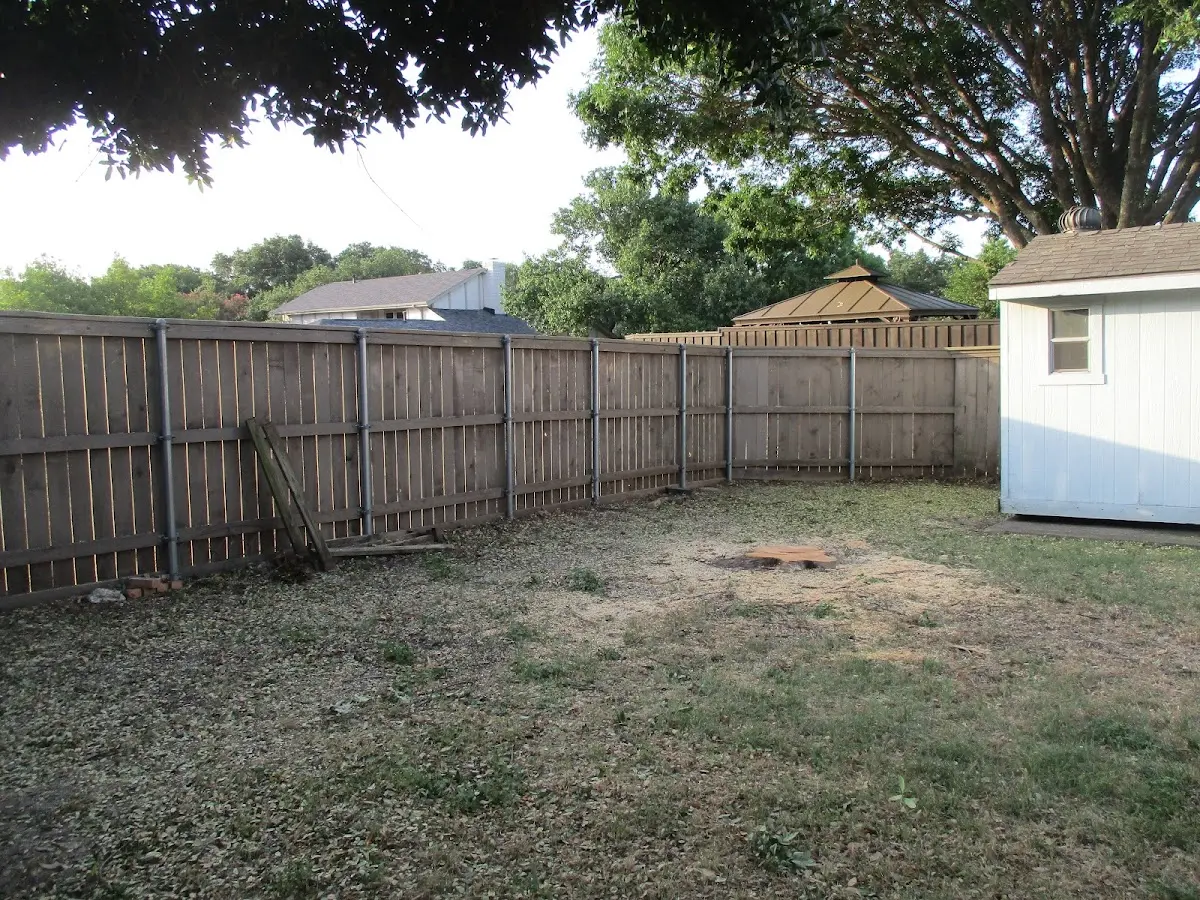 Cleared yard after professional tree removal in Eastlake